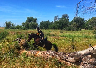 rutas a caballo por el rocio