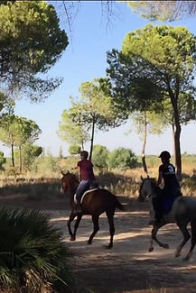 Montar a caballo en el parque nacional de Doñana, caballos andaluces, Huelva