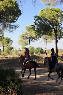 horse riding in donana national park, andalusian horses, Huelva