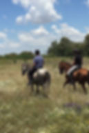 Balade a cheval a donana, chevaux andalous, Huelva