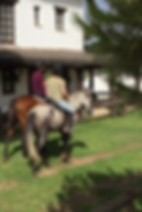 paseo a caballo por el rocio, caballos españoles Huelva