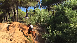 Monter a cheval Doñana, cheval espagnol