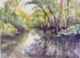 Florida Woods II.jpg