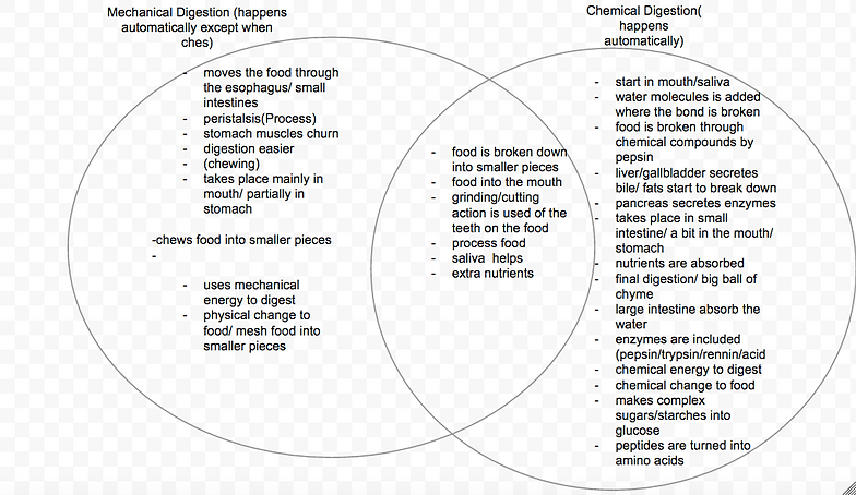 chemical and physical changes venn diagram magdalene compare and contrast physical and chemical properties venn diagram