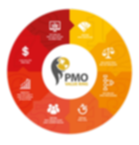 Etapas do PMO Value Ring