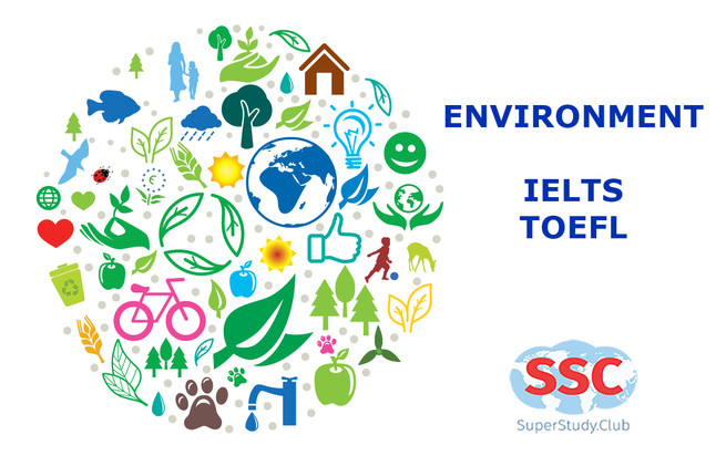 Essay topics on environment