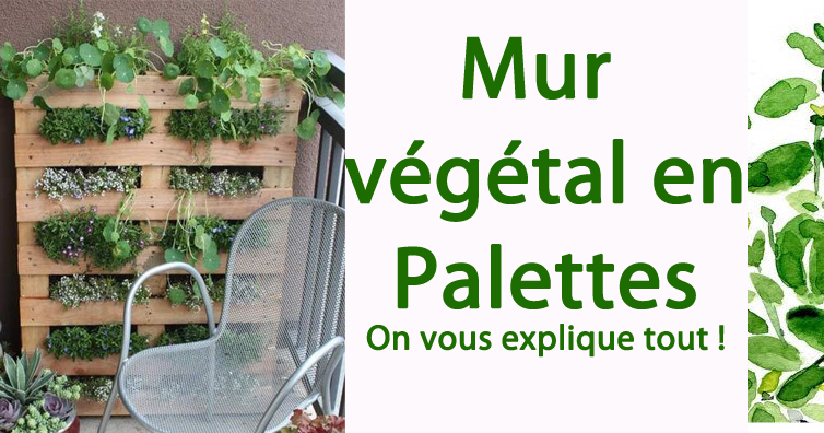 mur vgtal en palettes on vous explique tout so bio so local so positive - Fabriquer Un Mur Vegetal Interieur mur vgtal en palettes on vous explique tout so bio so local so positive - Fabriquer Un Mur Vegetal Interieur