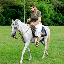 Passeio de Cavalo.png