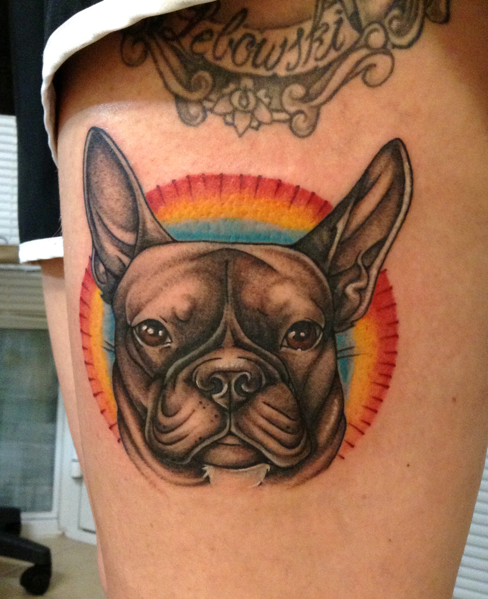 lookingglassnj dog portrait tattoo by amber opal lookingglassnj dog portrait tattoo by amber opal