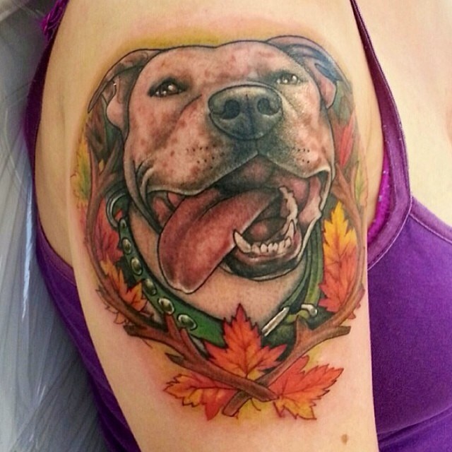 lookingglassnj brodie the pitbull portrait tattoo lookingglassnj brodie the pitbull portrait tattoo