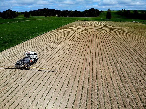 drone shot.jpg