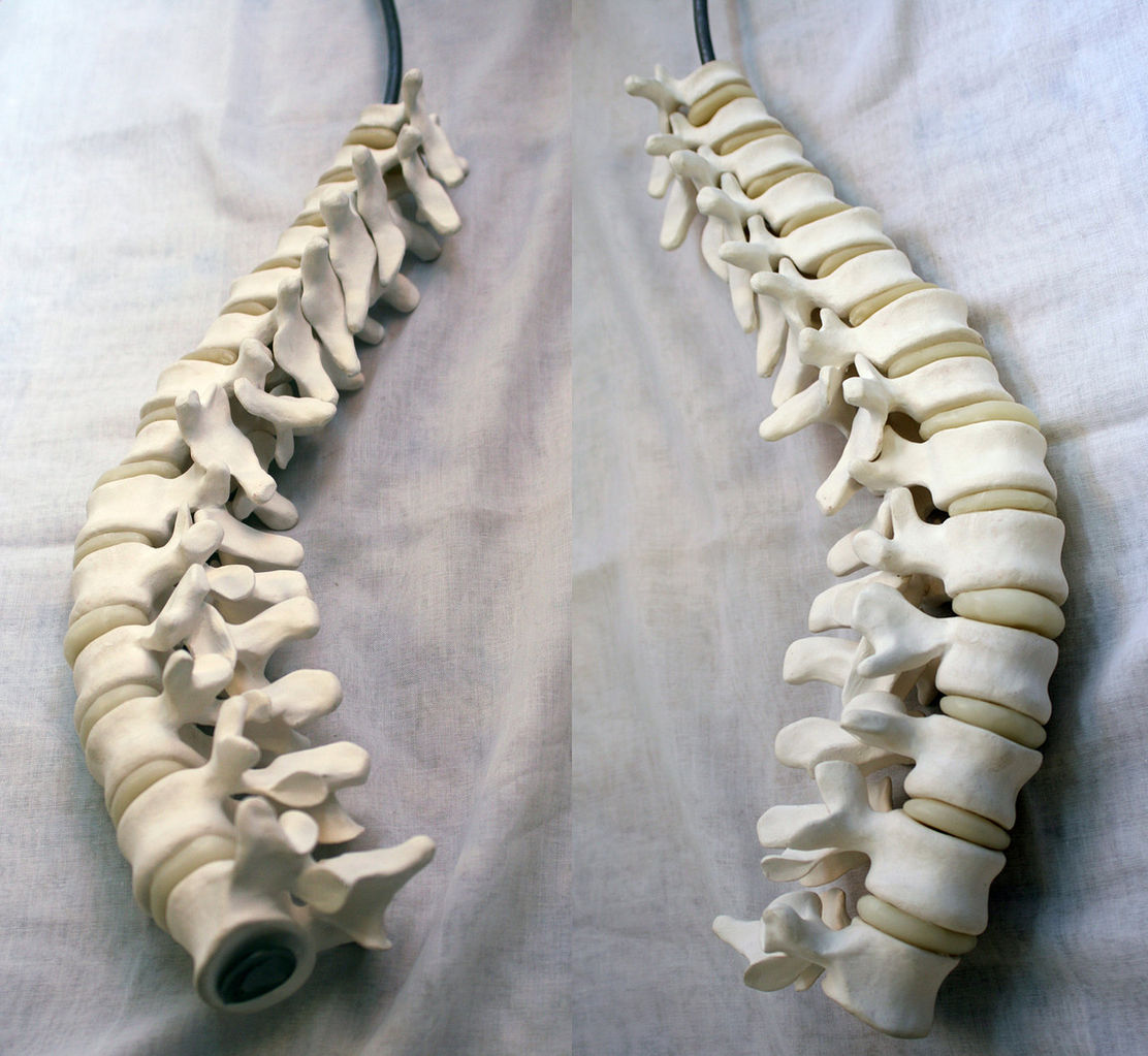 Spine of thesis image