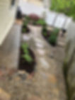 March Image (7).jpeg