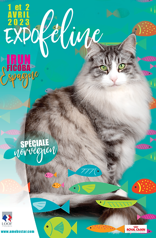 Affiche irun 2023.png