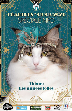 Affiche-chartres-a4.jpg