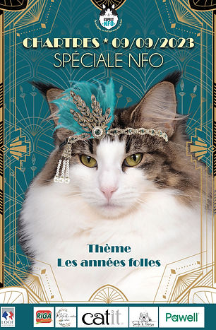 Affiche-chartres-a4-portrait.jpg