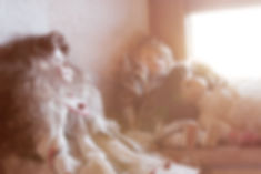 theme: stillife