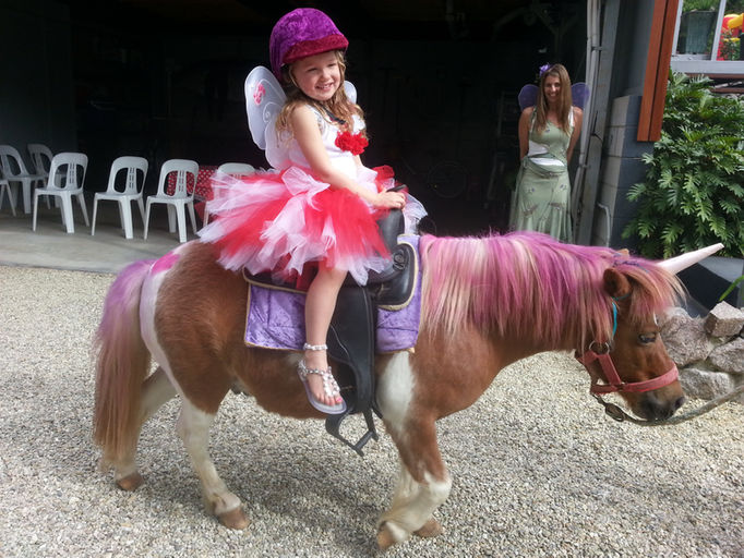 Glasshouse Mountains Riding School