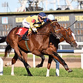 jockey_hipodromo.jpg