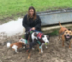 Pet Celebrant Colleen Allen Hertfordshire