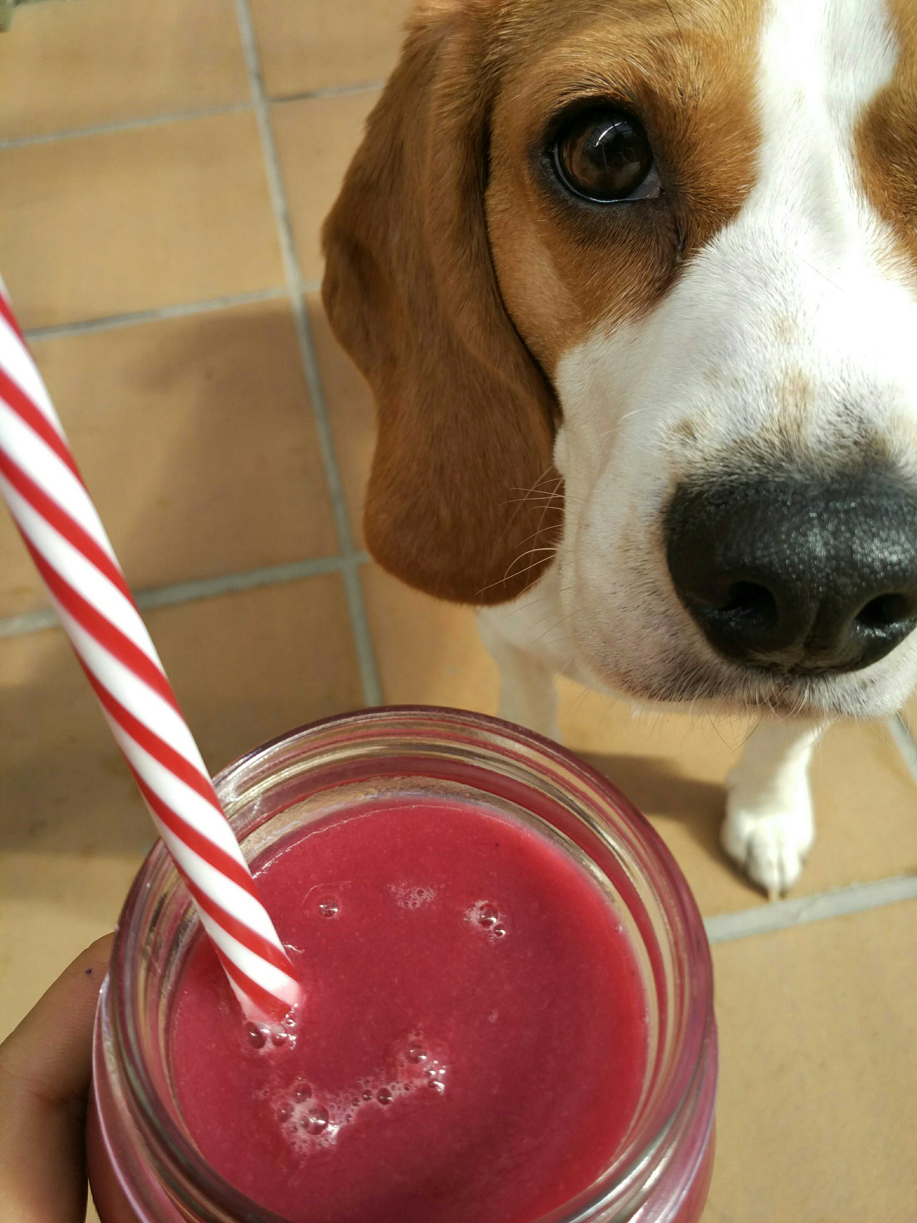 Smoothie de pepino, apio y remolacha