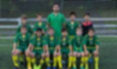 Alevin06-07.jpeg