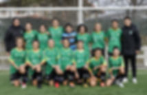 InfantilFemenino_2018_19.jpeg