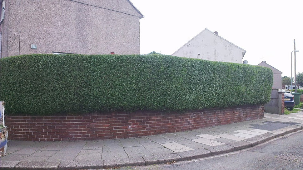 Artificial Grass &#8212; Three Reasons Why It&#8217;s Better Than The Real Things