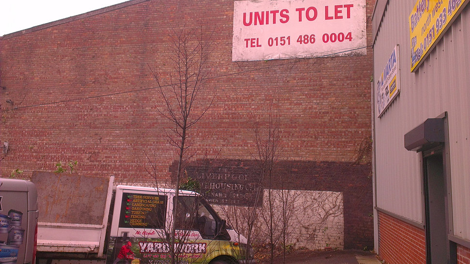 Why Should You Choose For Synthetic Grass?