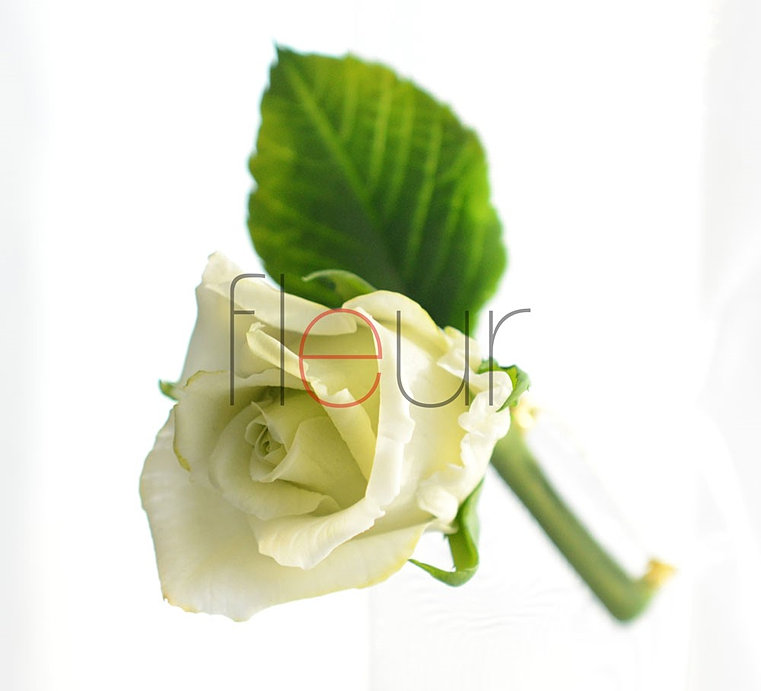 Мастер-класс роза от fleur Мастер-класс роза от fleur
