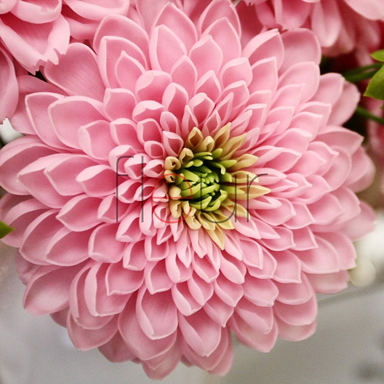 Мастер классы из полимерной глины fleur Мастер классы из полимерной глины fleur