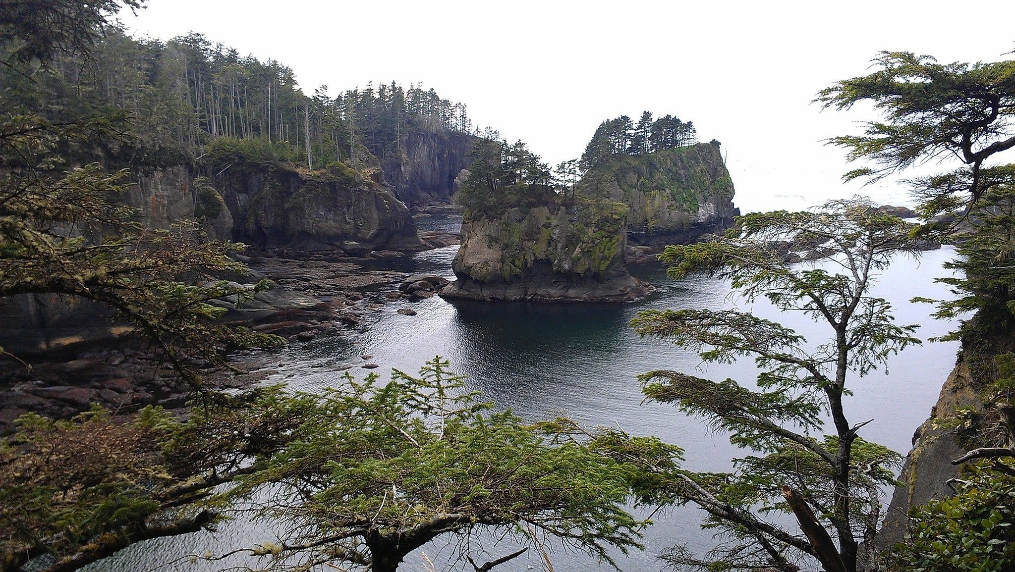 Dew Drop Inn Motel in Forks WA Olympic National Park, Twilight