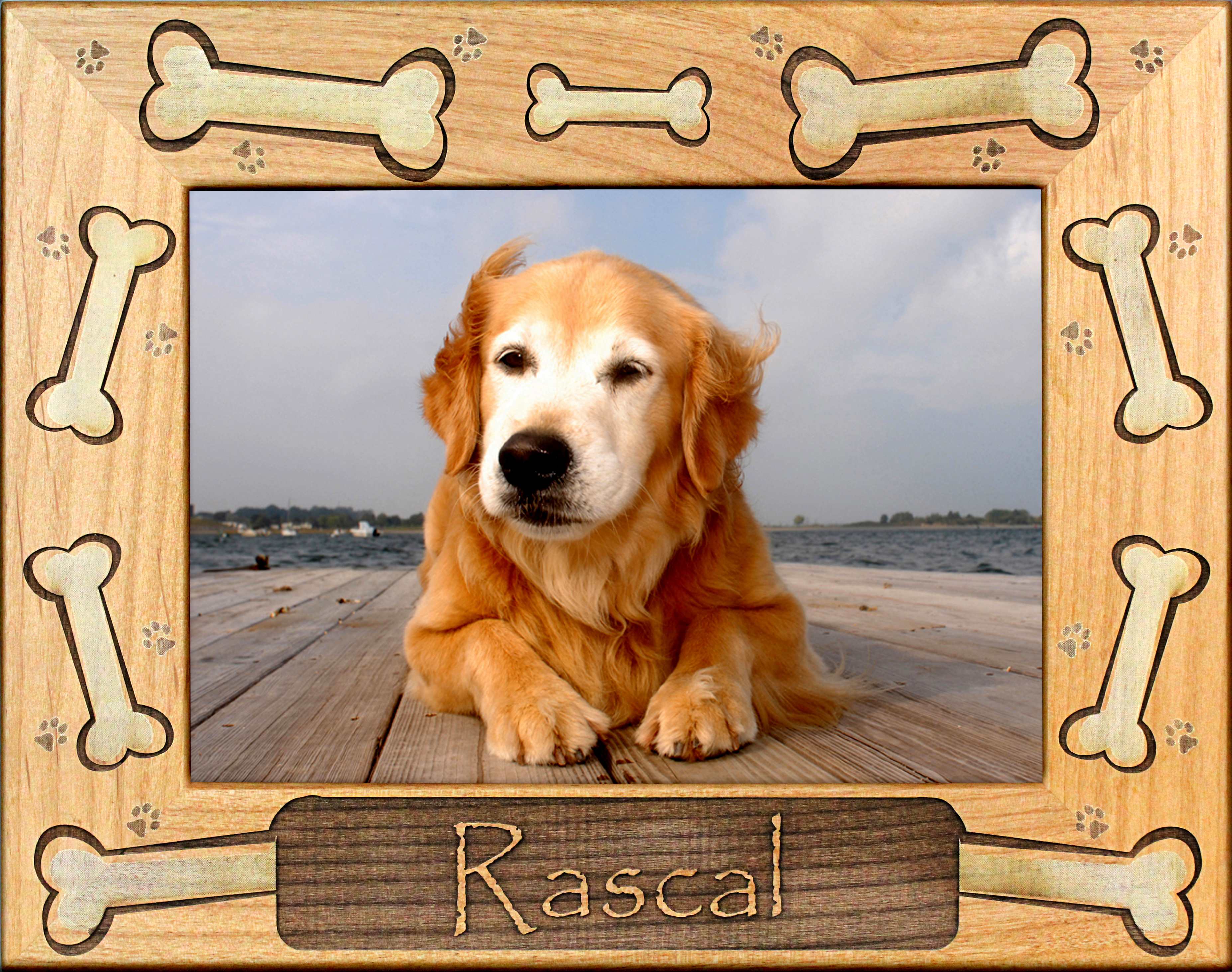 puppy frames view larger play pause best pet picture frame speak picture frame paw puppy frames view larger play pause best pet picture frame speak picture frame paw
