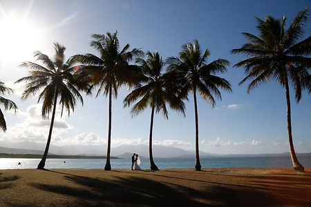 Port-Douglas-Elopement-Rex-Smeal-Park-Po