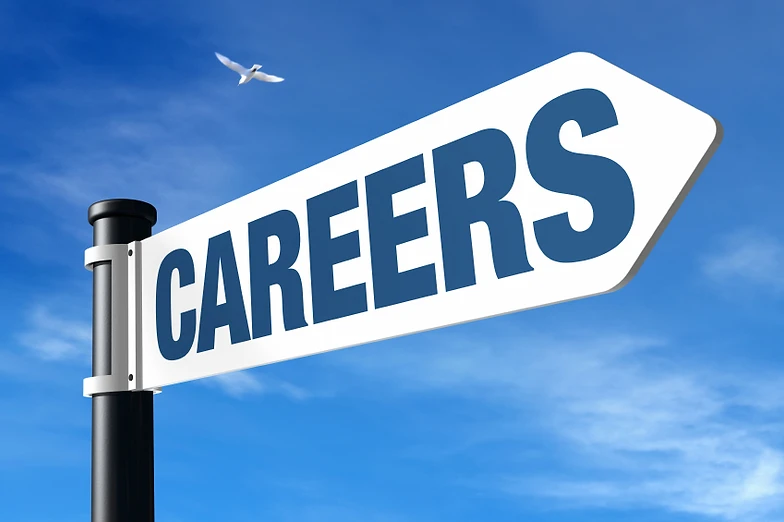livecareer com sign in