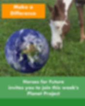 Horses for Future Tonnerre Project 1.jpg