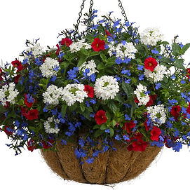 Aranjamente Florale De Gradina Sera De Flori Camelias
