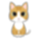 ★★茶白いい子.png