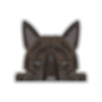 ★中虎毛15%.png