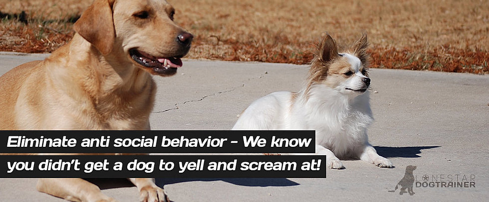 Dog Training Austin/Killeen TX - Dog Trainer Central Texas ...