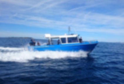 bateau plongée port cros