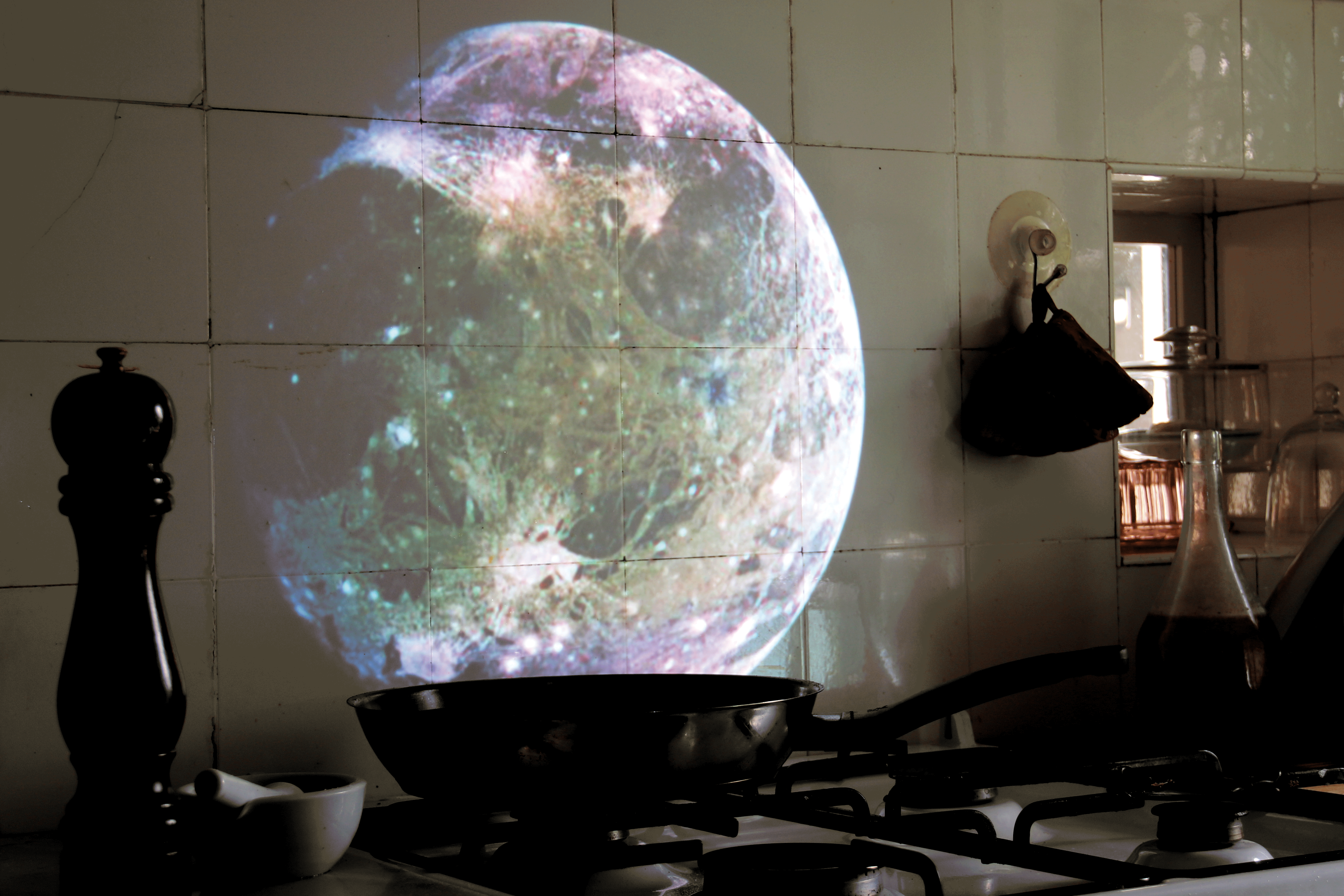 welt_kueche_web.gif