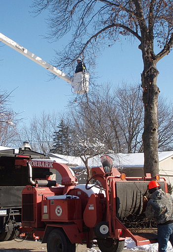 Tree Service Urbandale  ... lot clearing to help determine which trees are viable to leave and which ones should go. We also do hazard tree evaluations and tree value appraisels.