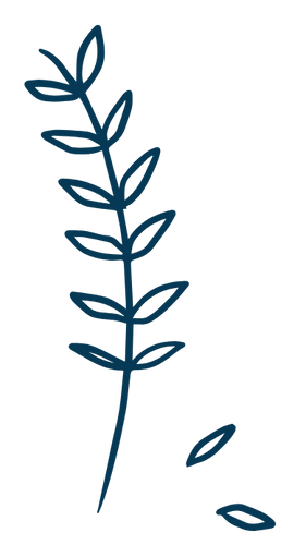 table_regionale_concertation_aines_cote_nord_organisation.png