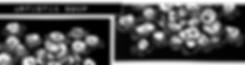 ASS.png