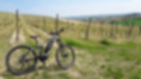 20190420_150423 (1)-min.jpg