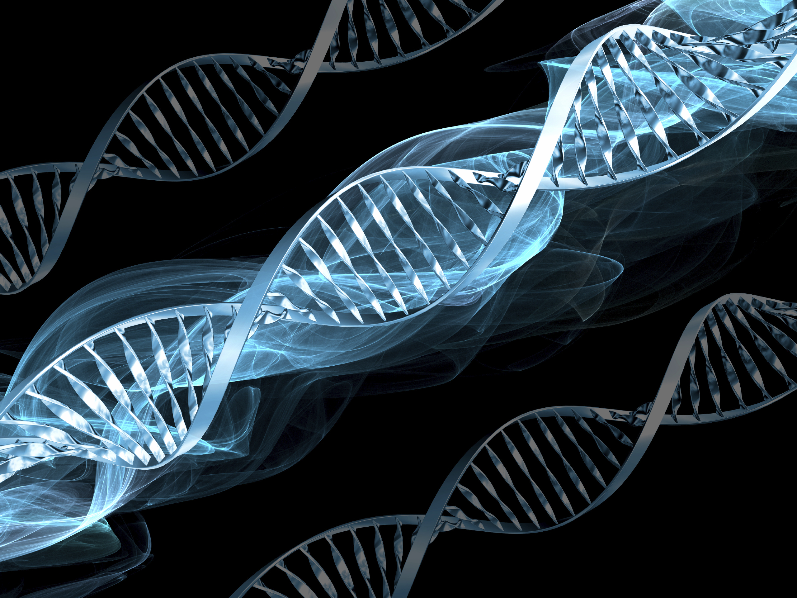 Dna Research Thesis