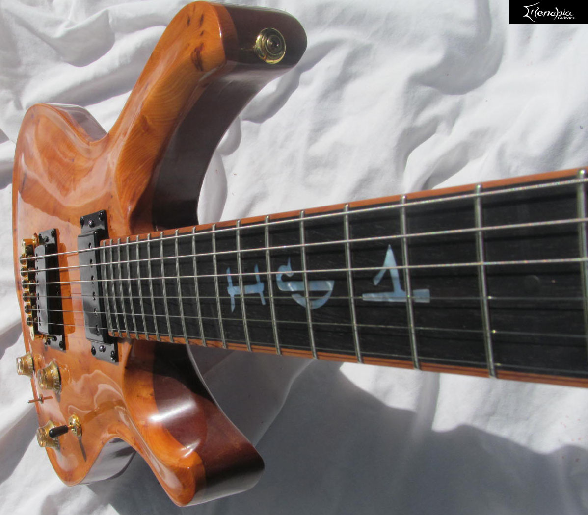 Custom Built Electric Guitars, Electric Bass, Guitar repairs Ireland
