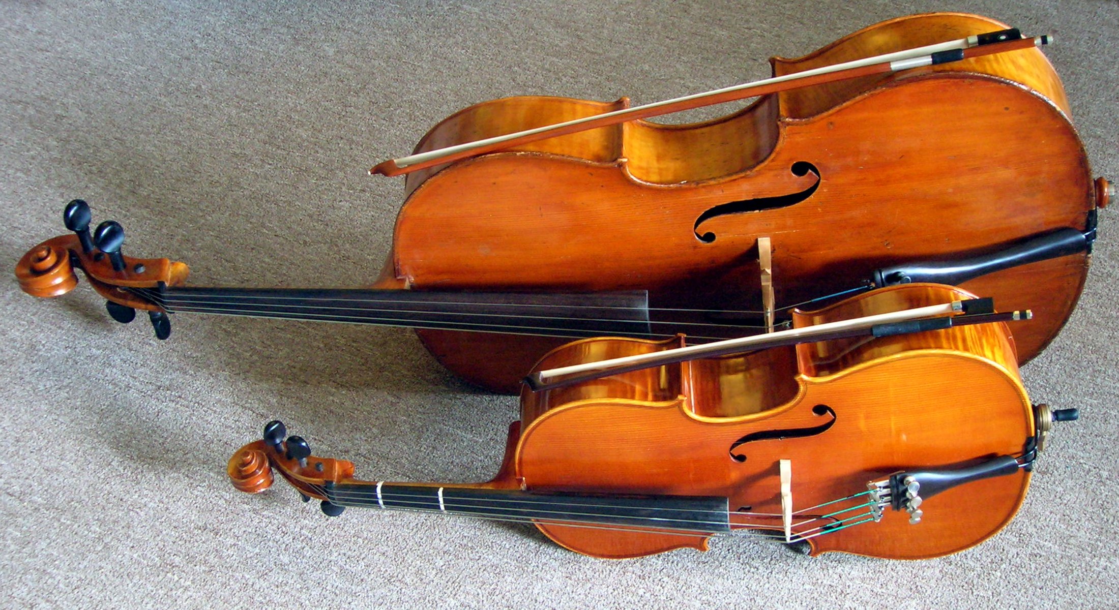 rent or buy your first instrument daniel baird cello and a bass full size viola
