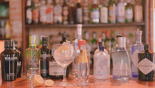 Gins-4.jpg
